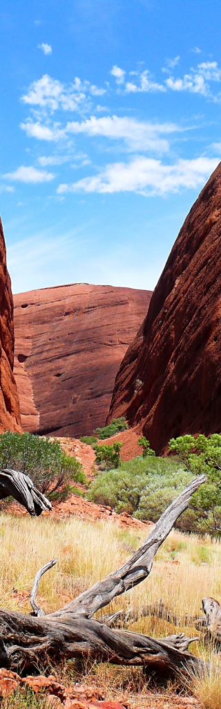 Australiens Outback – 4WD Safari